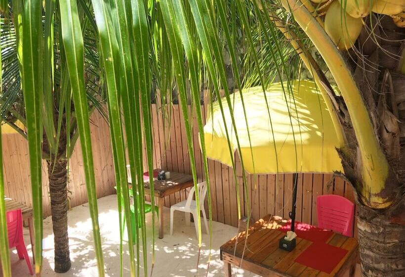 پانسیون Huraa East Inn