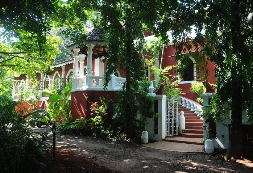 Pension  Marbella Guest House