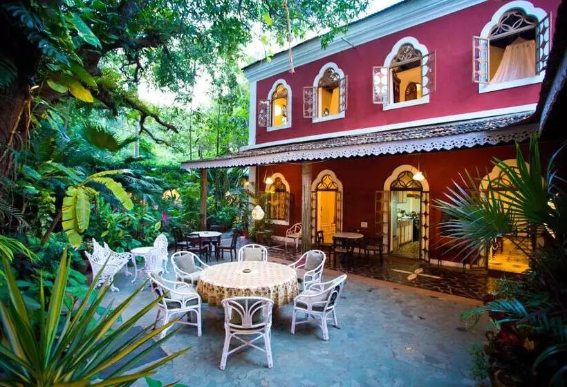 Pension  Marbella Guest House