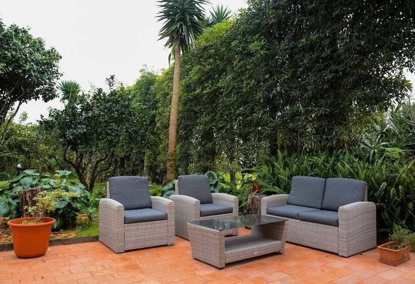 住宿加早餐  Quinta Minuvida