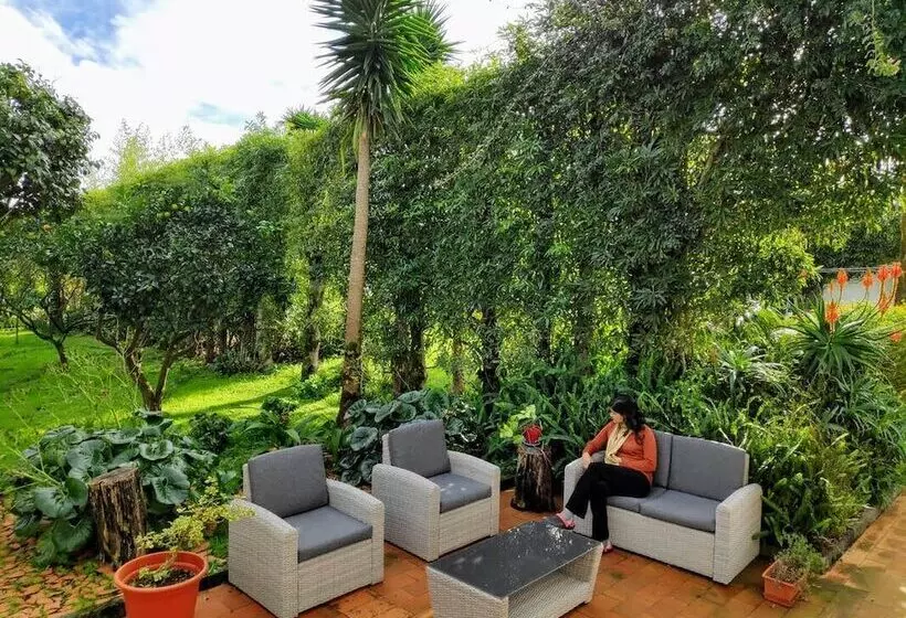 Aamiaismajoitus (B&B) Quinta Minuvida