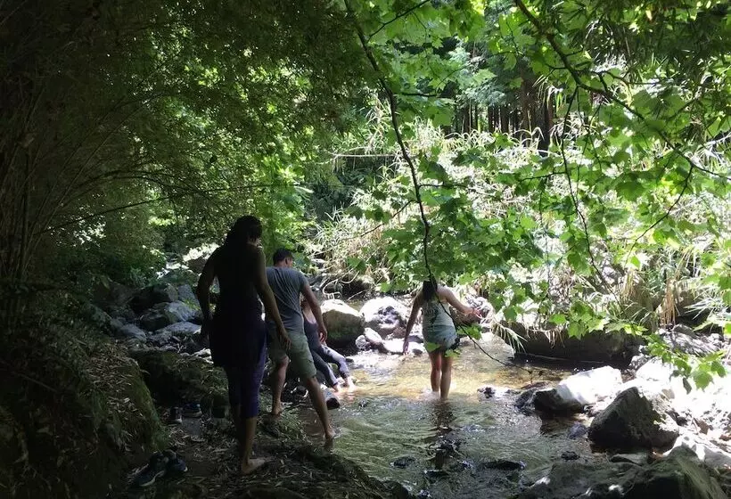 Aamiaismajoitus (B&B) Quinta Minuvida