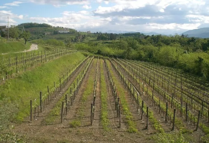 ホテル Agriturismo Giorgio Colutta