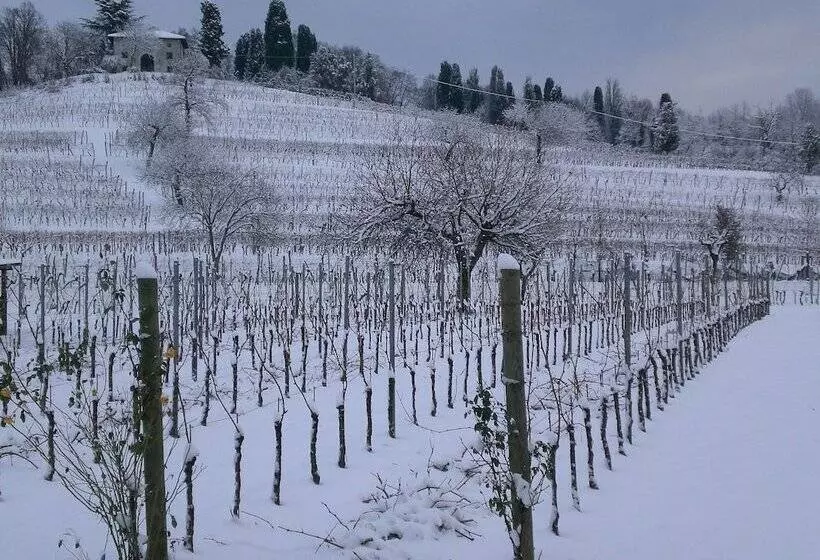 ホテル Agriturismo Giorgio Colutta