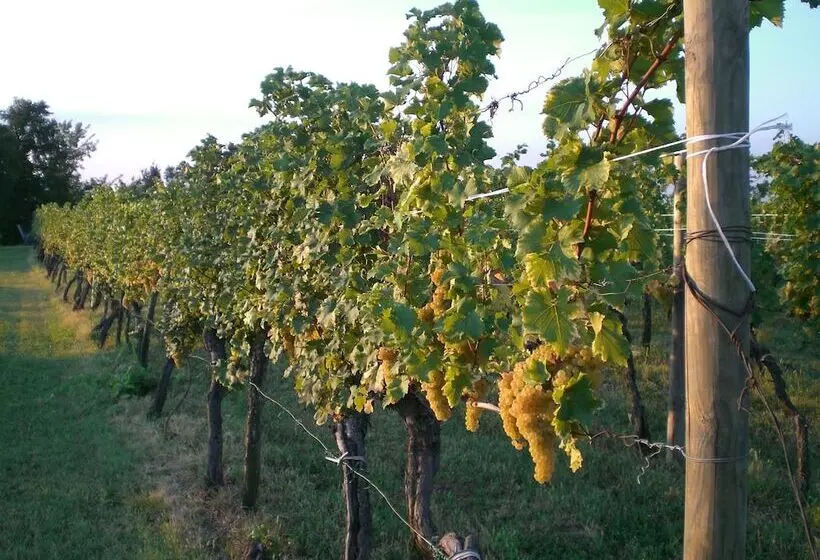 ホテル Agriturismo Giorgio Colutta
