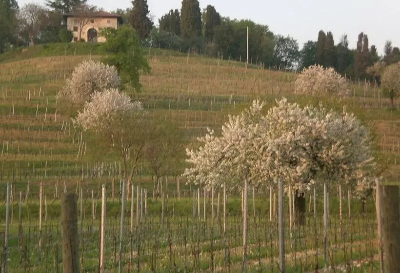 ホテル Agriturismo Giorgio Colutta