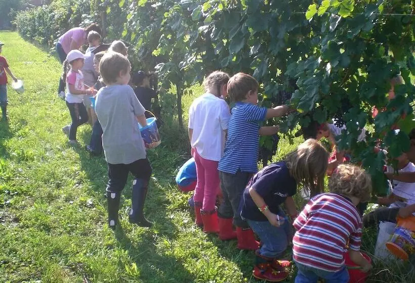 ホテル Agriturismo Giorgio Colutta