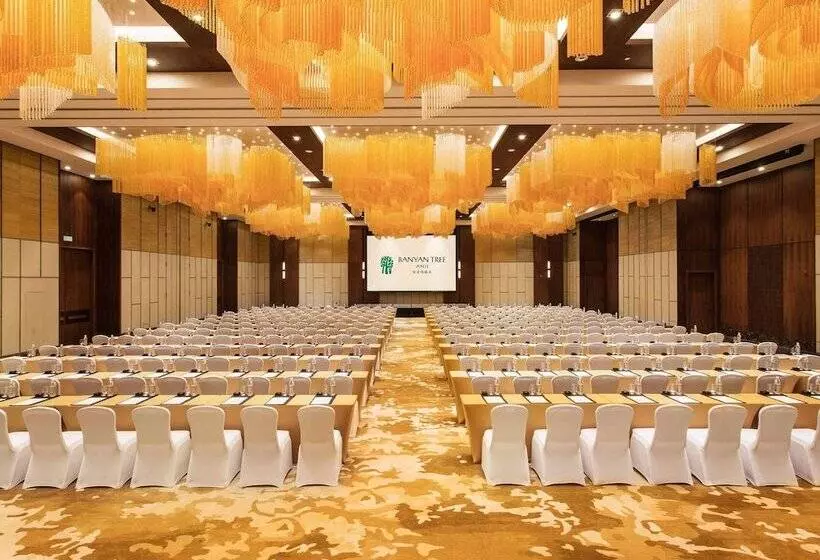 ホテル Banyan Tree Anji