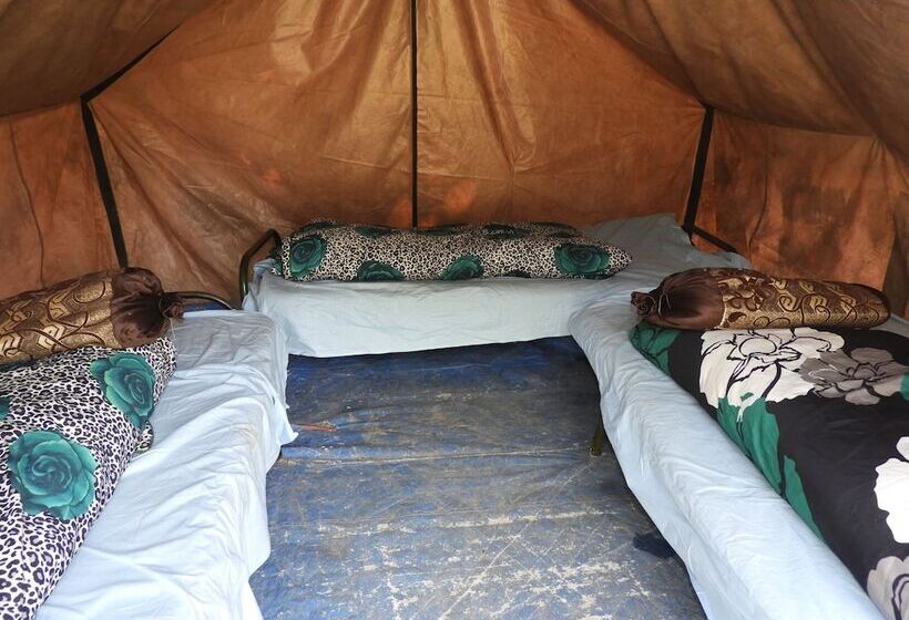 Отель Wildhawk Adventures