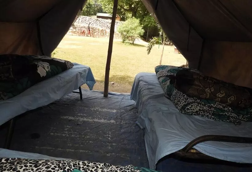 Hotel Wildhawk Adventures
