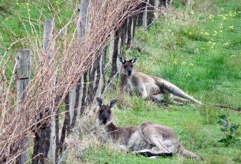 פנסיון California Road At Inkwell Wines