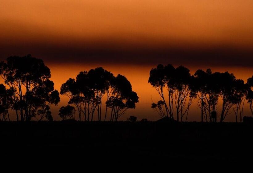 פנסיון California Road At Inkwell Wines