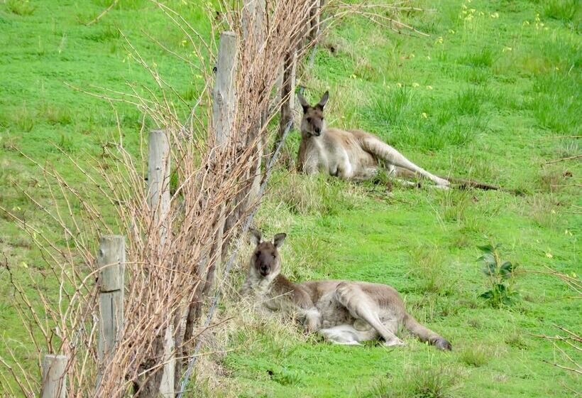 פנסיון California Road At Inkwell Wines