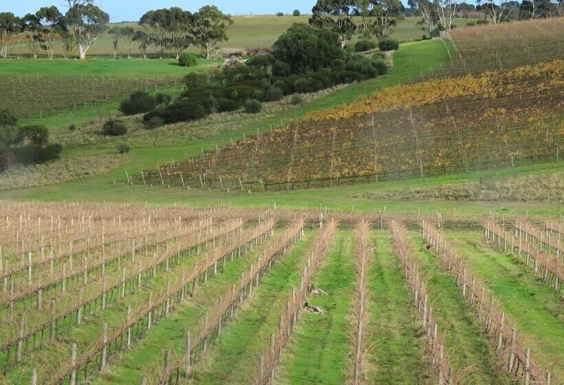 פנסיון California Road At Inkwell Wines