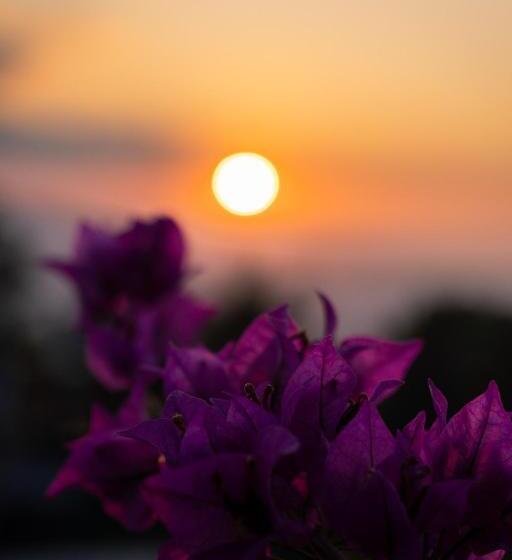 ペンション Candra Cottage