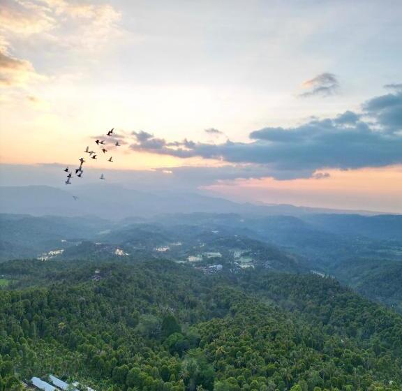 ペンション Candra Cottage