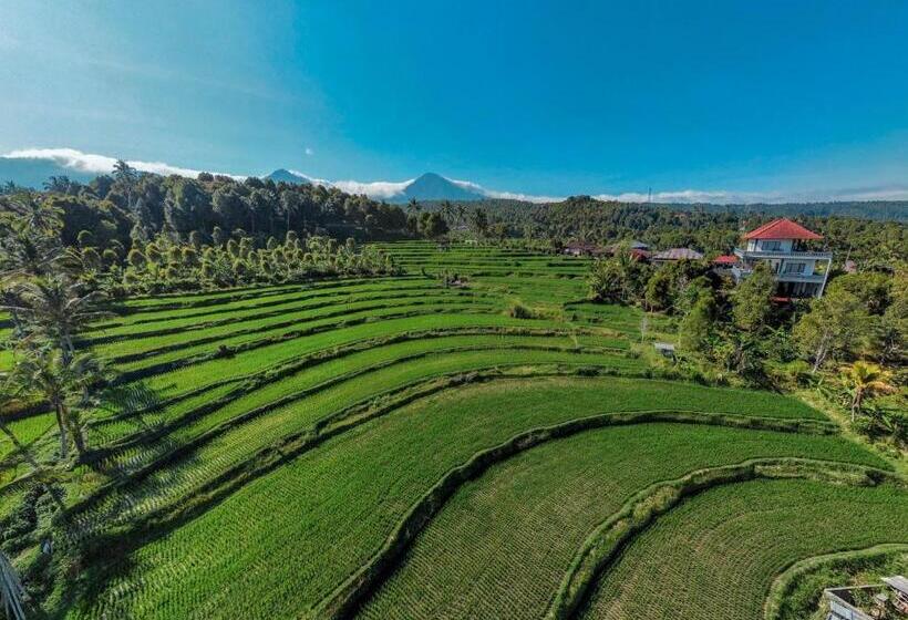 ペンション Candra Cottage