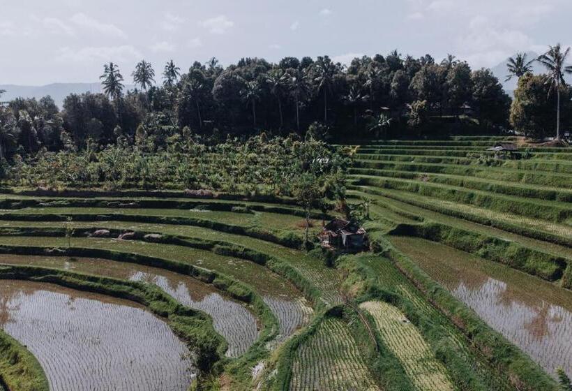 ペンション Candra Cottage