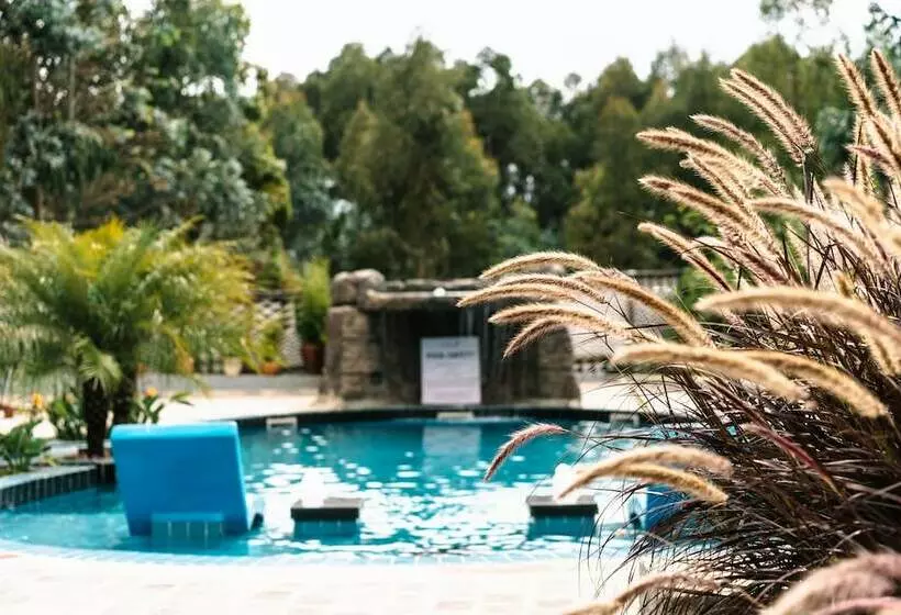 هتل Five Volcanoes Boutique