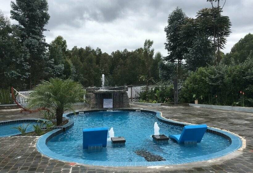 هتل Five Volcanoes Boutique