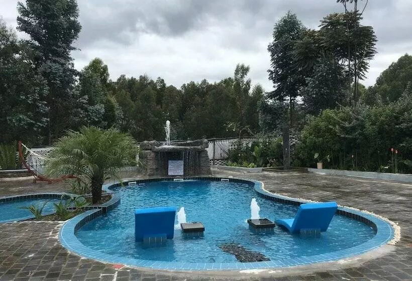 هتل Five Volcanoes Boutique