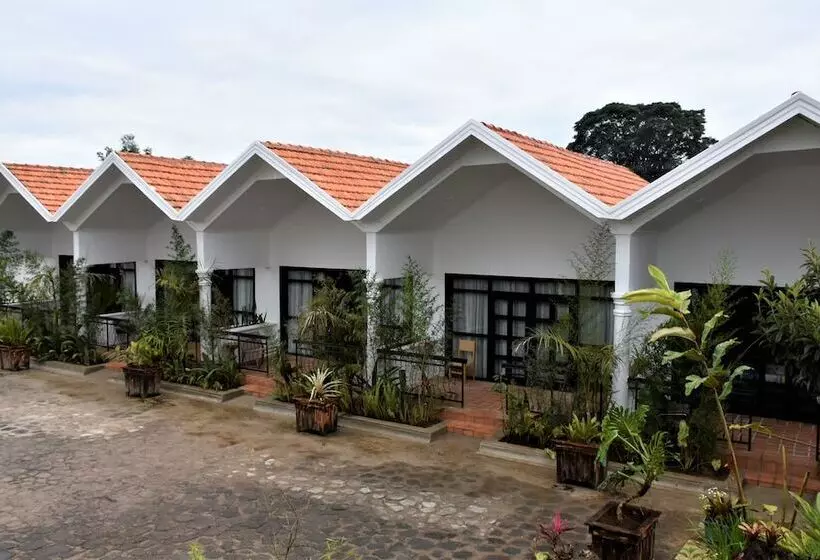 هتل Five Volcanoes Boutique