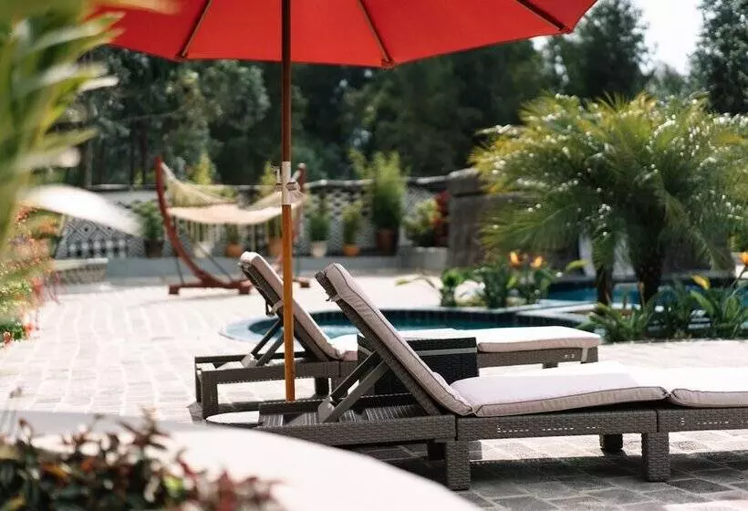 هتل Five Volcanoes Boutique