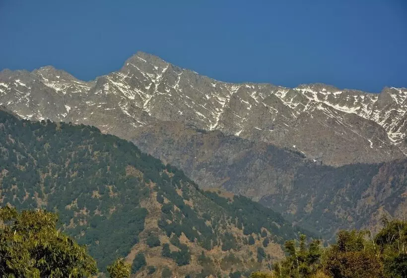 Hotelli Shilpi Shavala