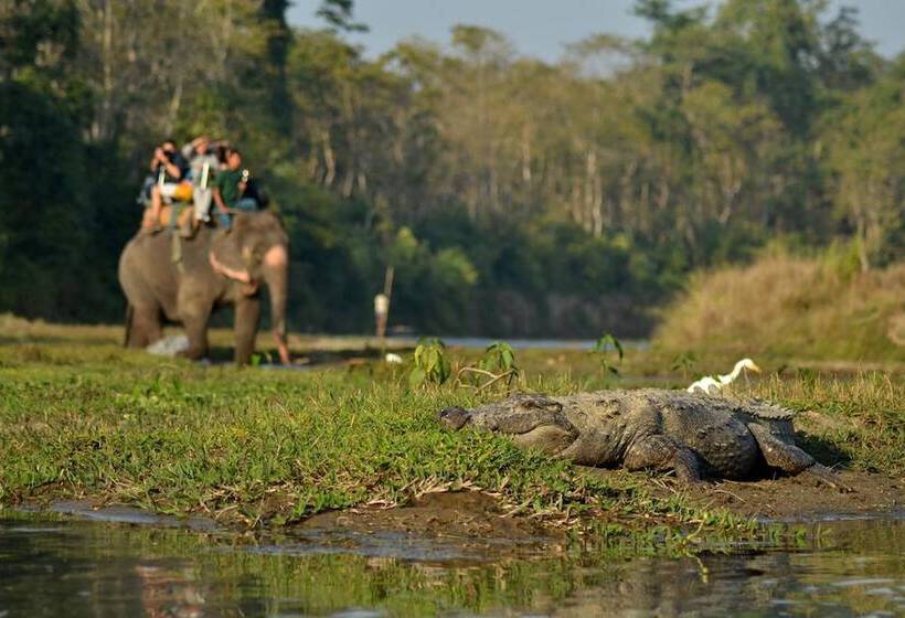 هتل Travellers Jungle Camp