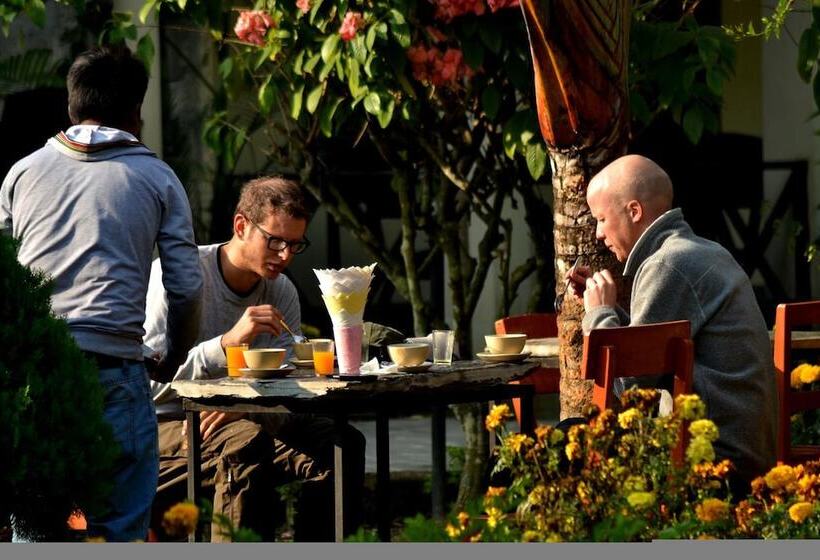 هتل Travellers Jungle Camp