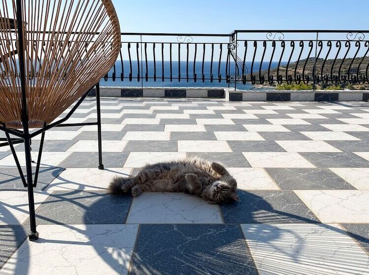 Pefkides Aegina Boutique Apartments