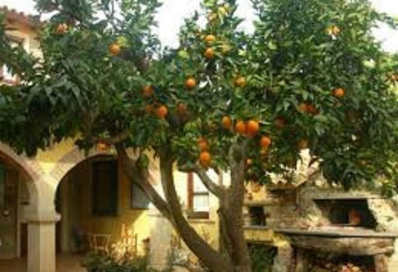 بنسيون Casa Tipica S Antigu