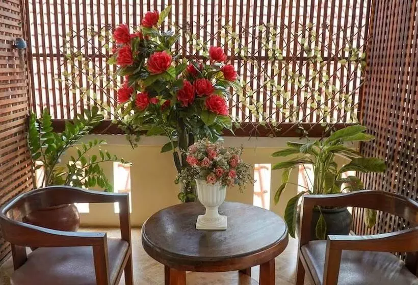 پانسیون Sakura