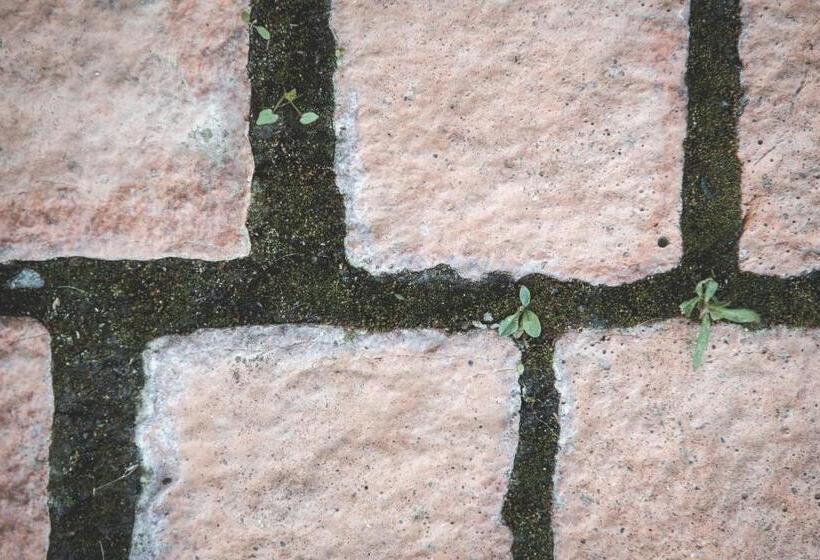 Sfendamos Wood Village