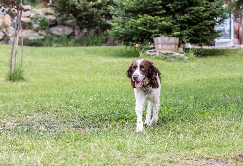 Sfendamos Wood Village