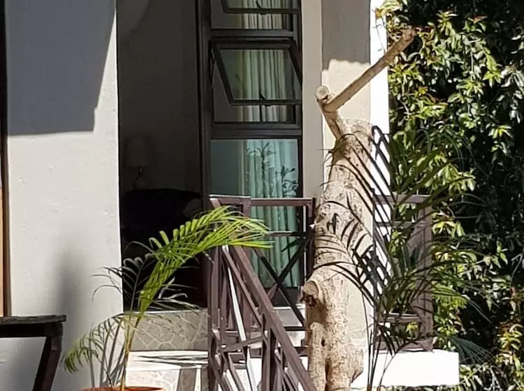 تختخواب و صبحانه Chinyonga Guesthouse