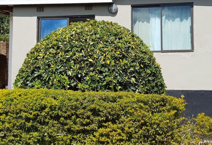 Bed and Breakfast Chinyonga Guesthouse