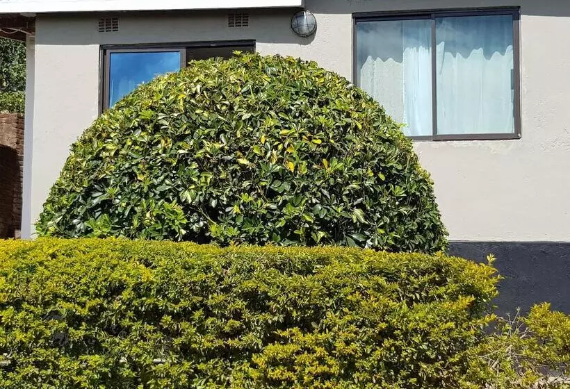 تختخواب و صبحانه Chinyonga Guesthouse