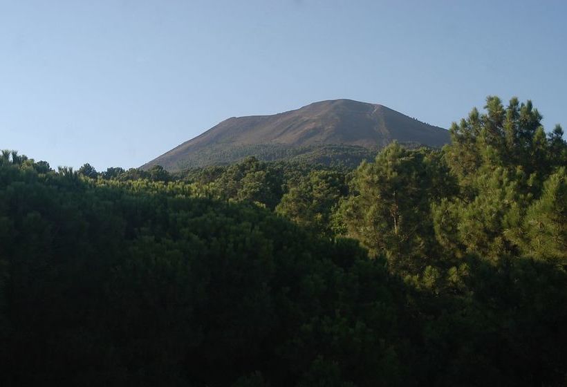 בית מלון כפרי Parco Vesevus