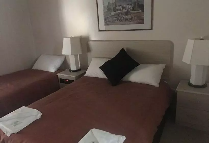 モーテル Snowy Mountains Motor Inn