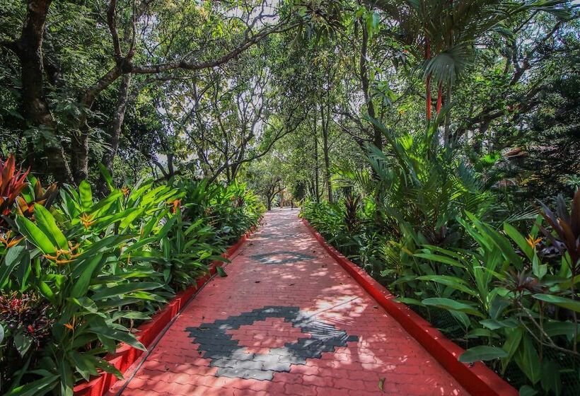 Oyo 10401 Home 4bhk Villa Assagaon