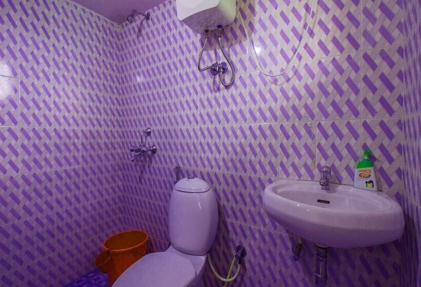 Oyo 16923 Home Graceful Studio