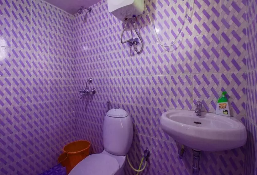 Oyo 16923 Home Graceful Studio