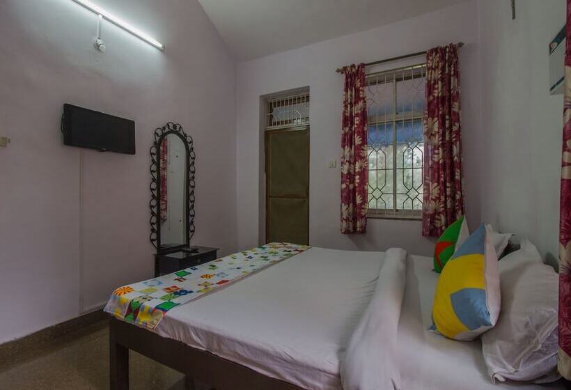 Oyo 16923 Home Graceful Studio