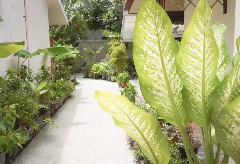 پانسیون Banyan Villa Maldives Dhangethi