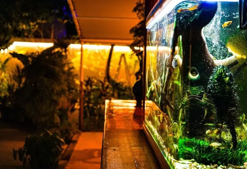 پانسیون Banyan Villa Maldives Dhangethi