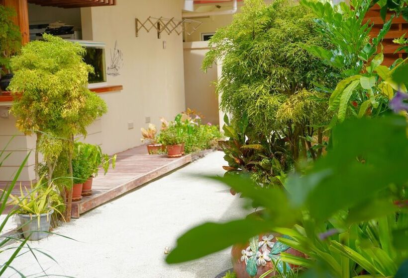 پانسیون Banyan Villa Maldives Dhangethi