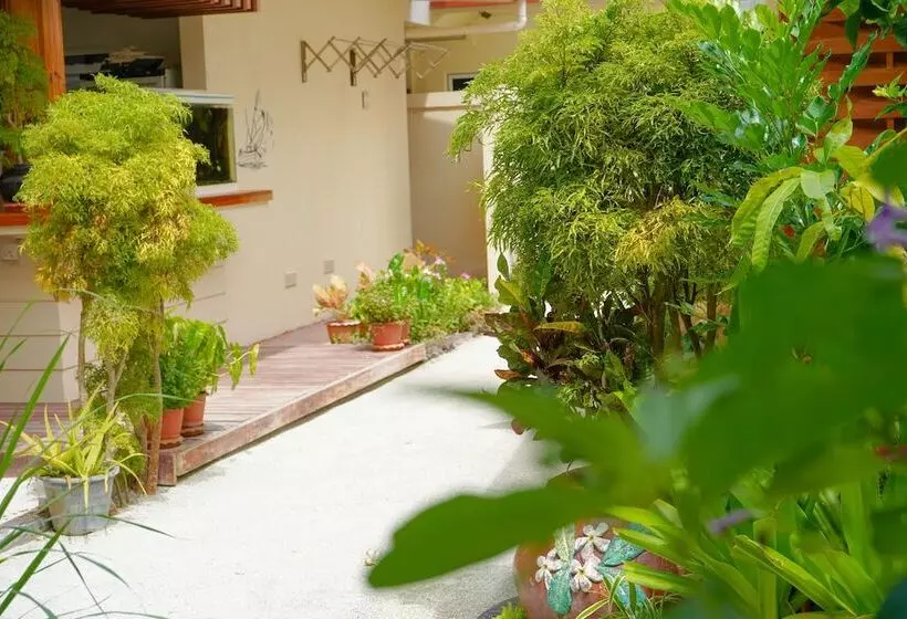 پانسیون Banyan Villa Maldives Dhangethi