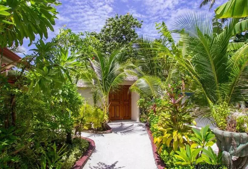 پانسیون Banyan Villa Maldives Dhangethi