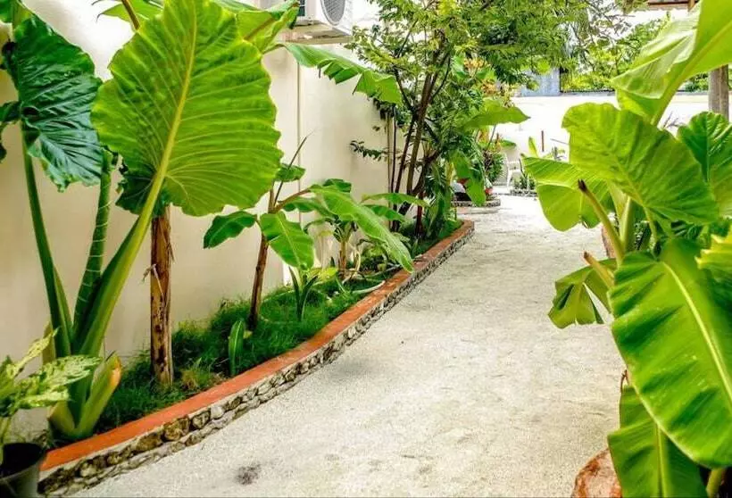 پانسیون Banyan Villa Maldives Dhangethi